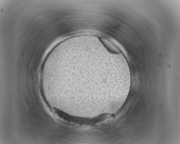 X0000086051099200704202030