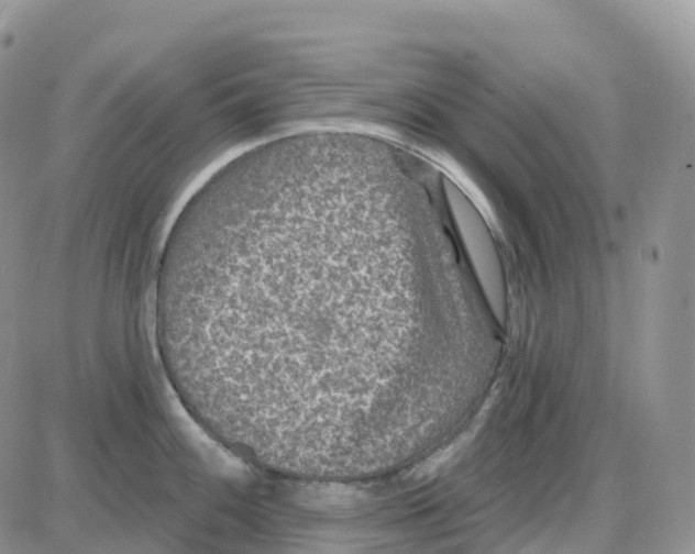 X0000086051100200704202030