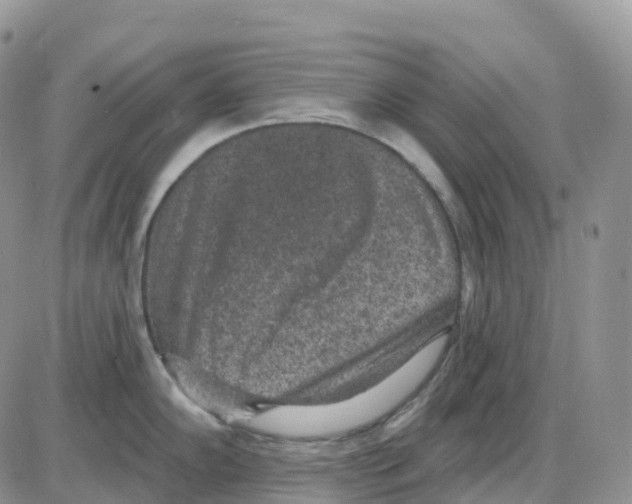 X0000086051102200704202030