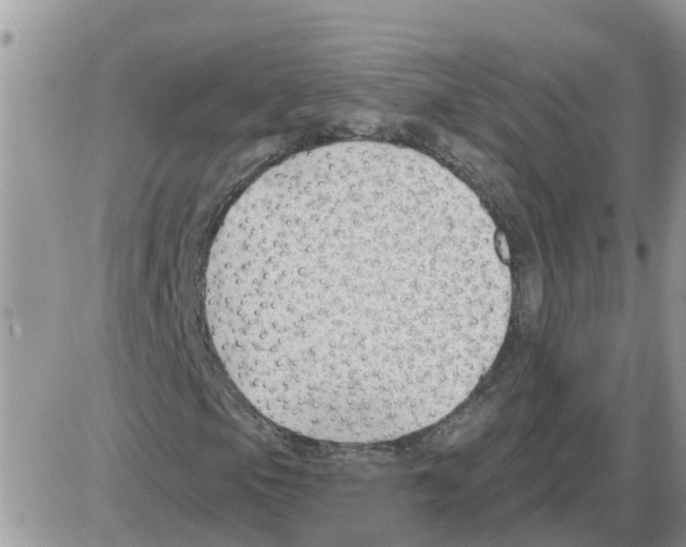 X0000086051105200704202029