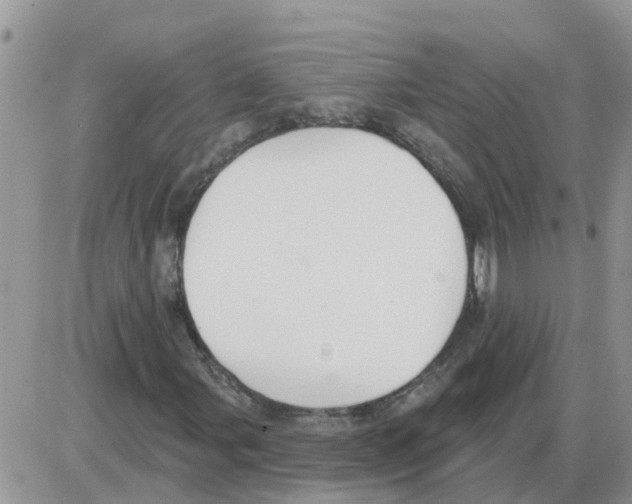 X0000086051107200704202029