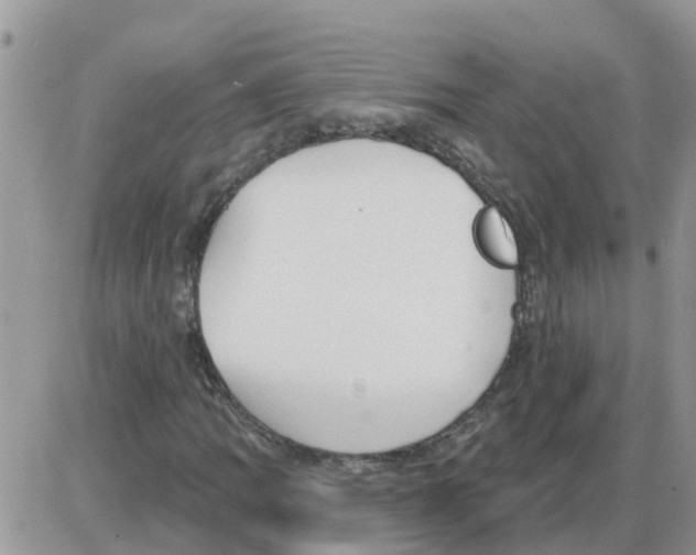 X0000086051109200704202029