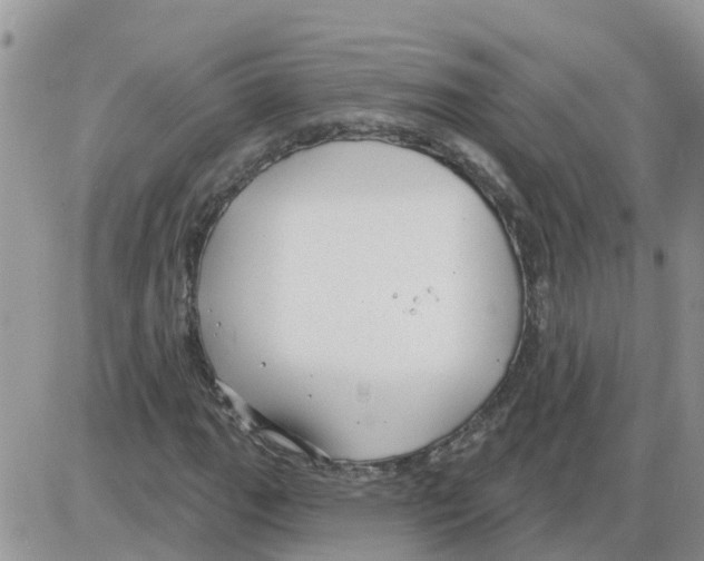 X0000086051111200704202029