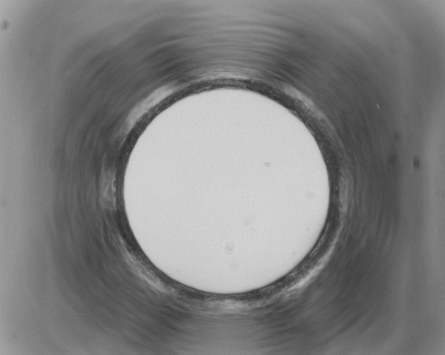 X0000086051113200704202029