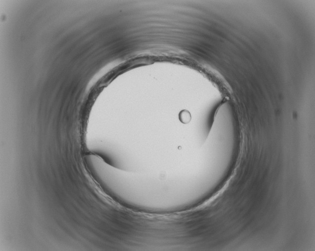 X0000086051114200704202029