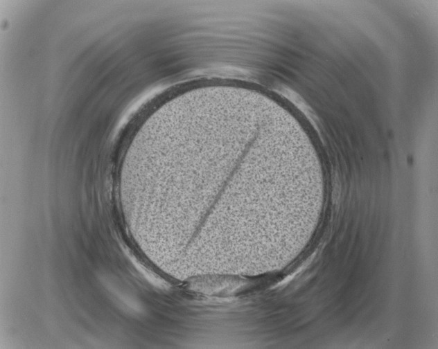 X0000086051115200704202029