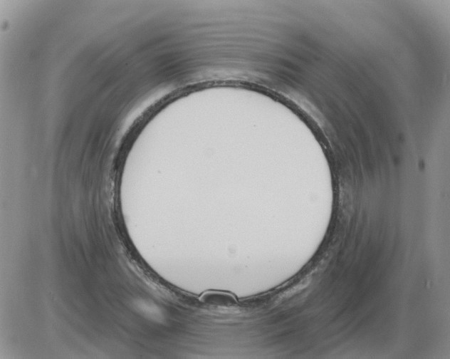 X0000086051119200704202029