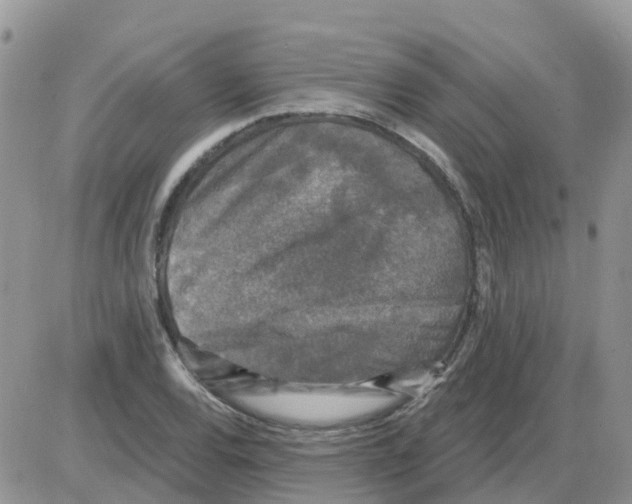 X0000086051120200704202029