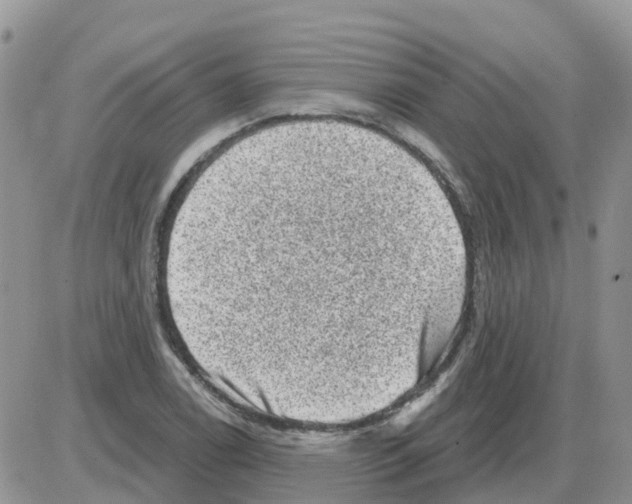 X0000086051122200704202029