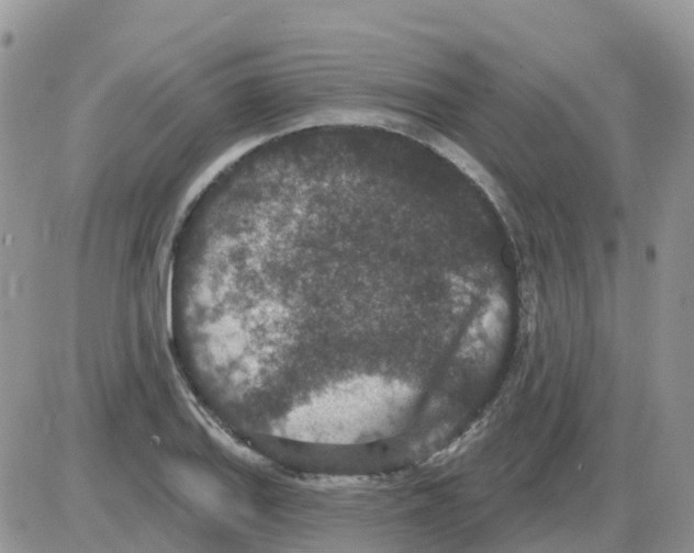 X0000086051127200704202029