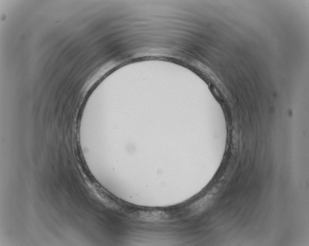 X0000086051129200704202029