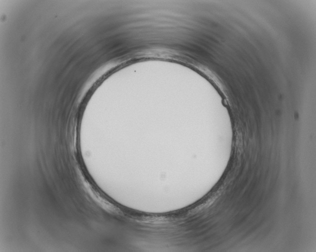 X0000086051131200704202029