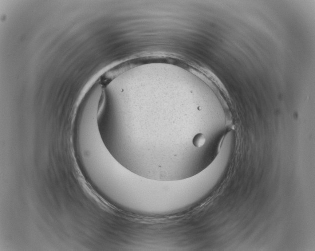 X0000086051132200704202029