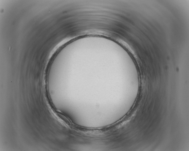 X0000086051133200704202029