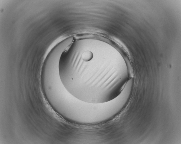 X0000086051138200704202029