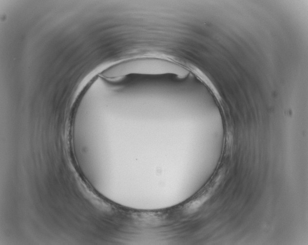 X0000086051149200704202029