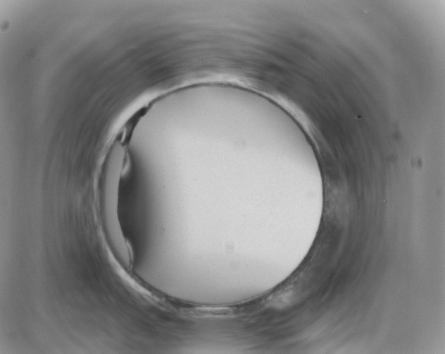 X0000086051151200704202029