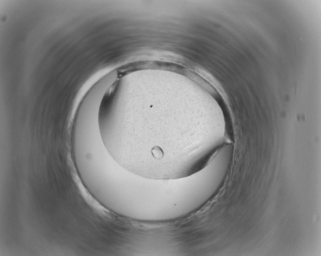 X0000086051152200704202030