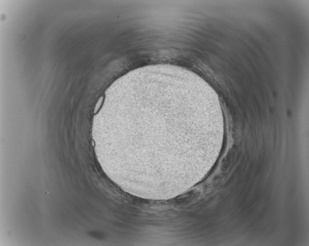 X0000086051153200704202029