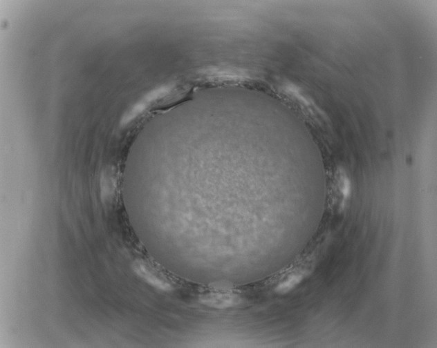 X0000086051157200704202029