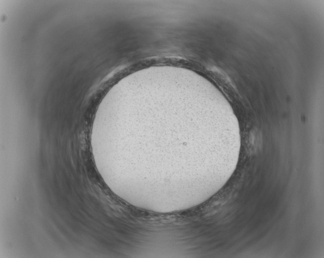 X0000086051159200704202029