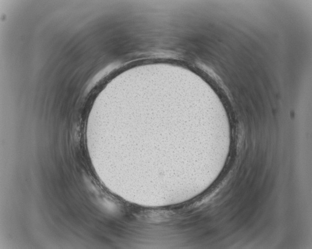 X0000086051163200704202029