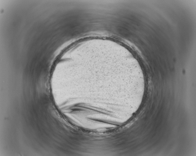 X0000086051168200704202028