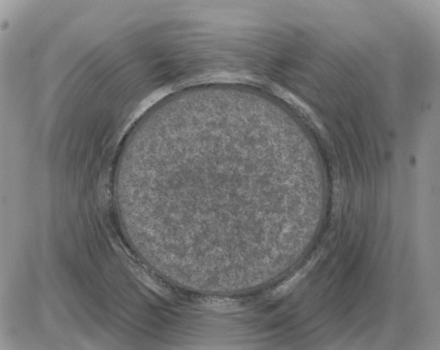 X0000086051170200704202028