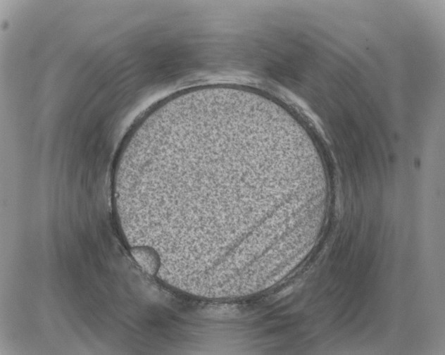 X0000086051174200704202028