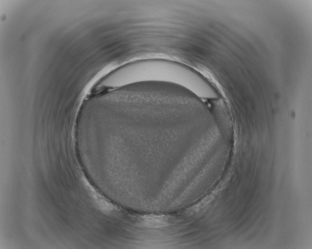 X0000086051181200704202028