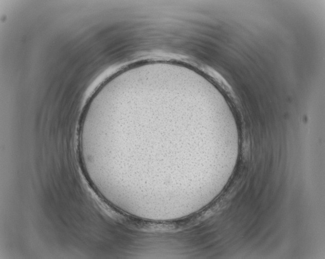 X0000086051183200704202028