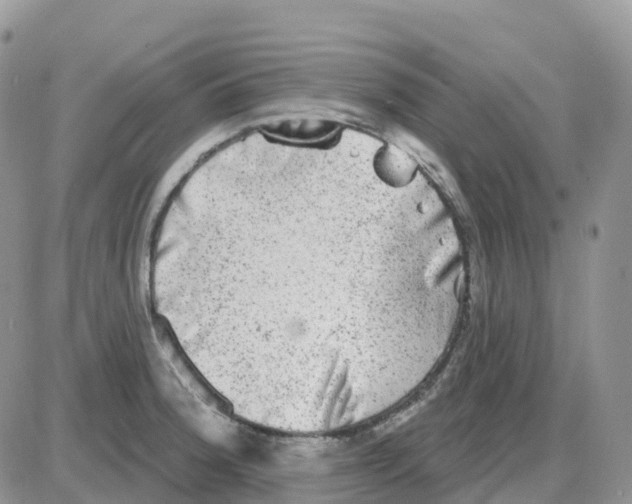 X0000086051188200704202028