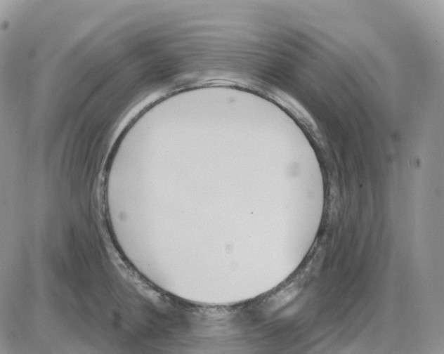 X0000086051190200704202028