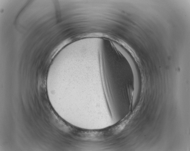 X0000086051193200704202028