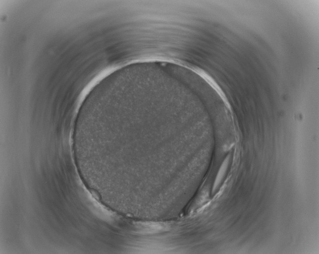 X0000086051197200704202028