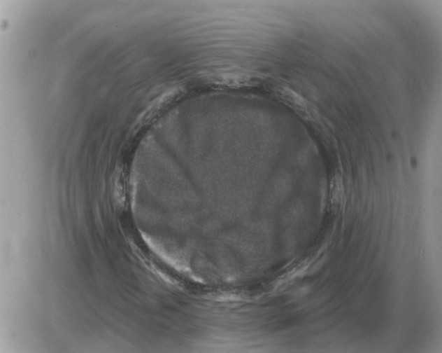 X0000086051202200704202027