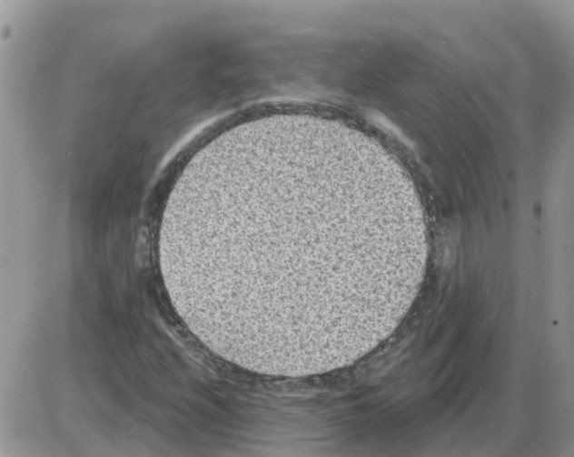 X0000086051208200704202027