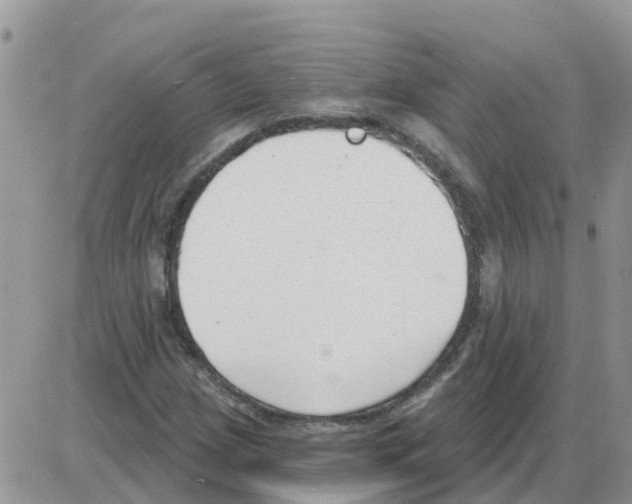 X0000086051209200704202027