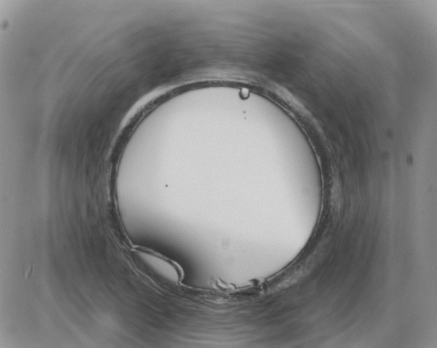 X0000086051222200704202028