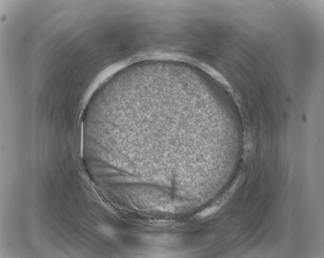 X0000086051223200704202028