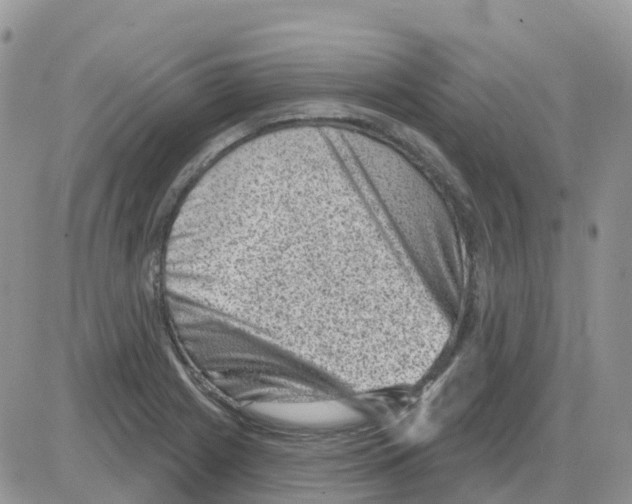 X0000086051225200704202028