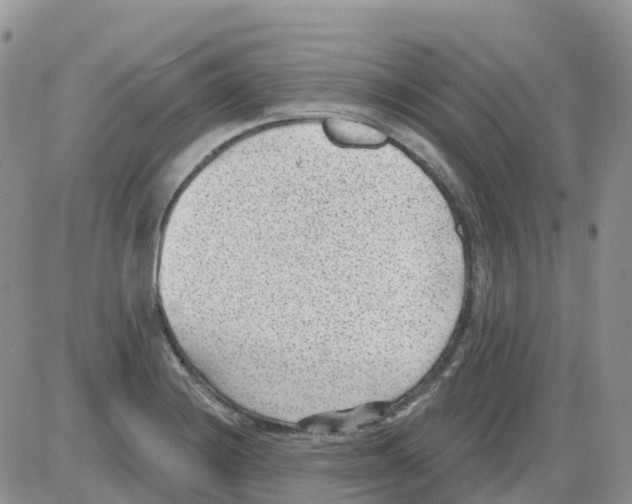 X0000086051228200704202028