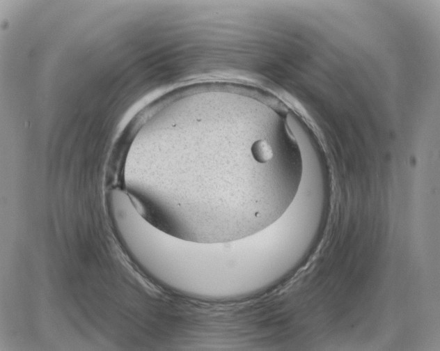 X0000086051230200704202028