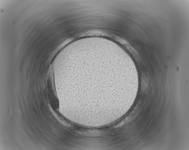 X0000086051233200704202028