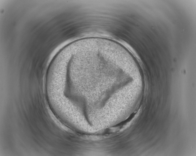 X0000086051246200704202028