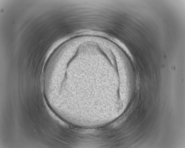 X0000086051247200704202028