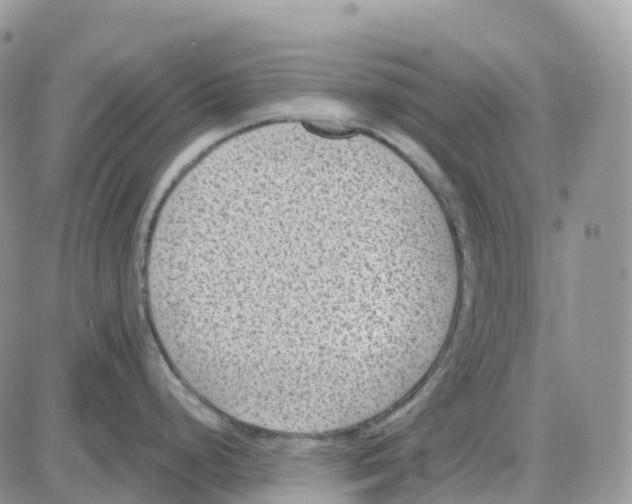 X0000086051248200704202028