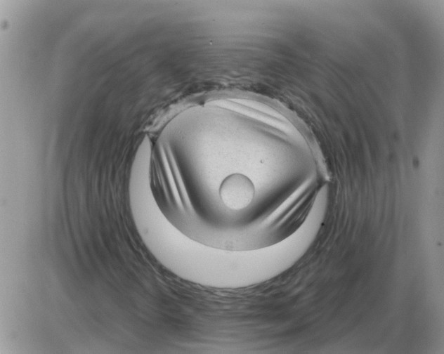 X0000086051298200704202026