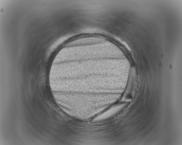 X0000086051311200704202026