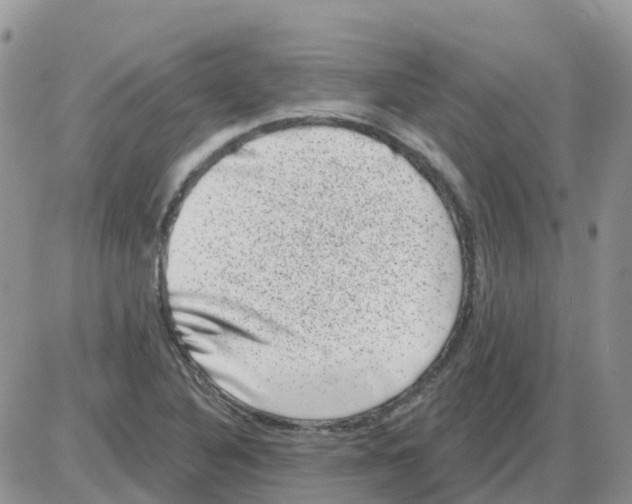 X0000086051316200704202026